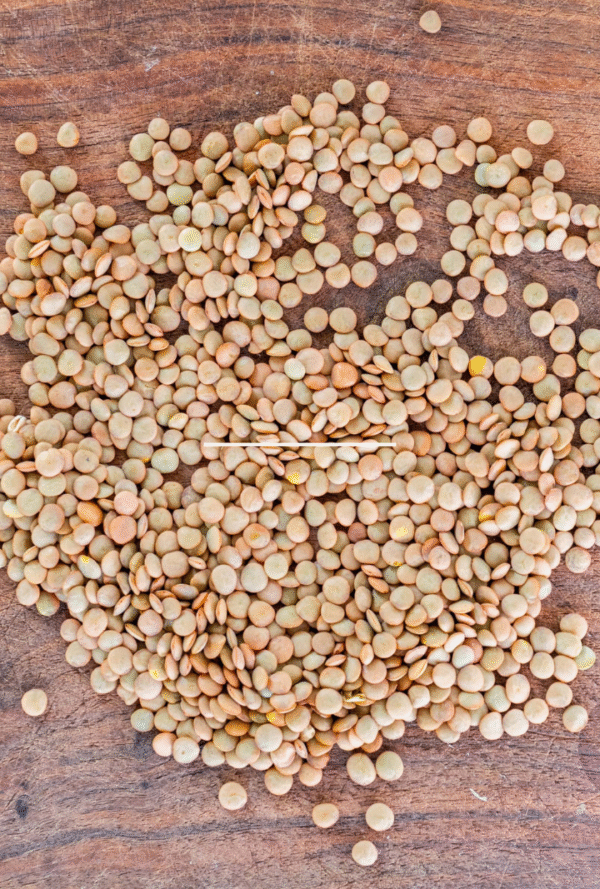 Brown Lentils