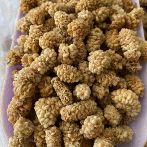 Dried Mulberries