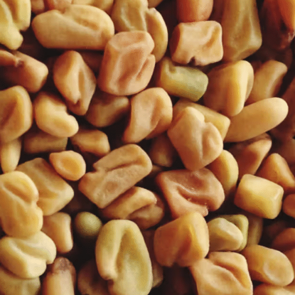 Fenugreek Seeds