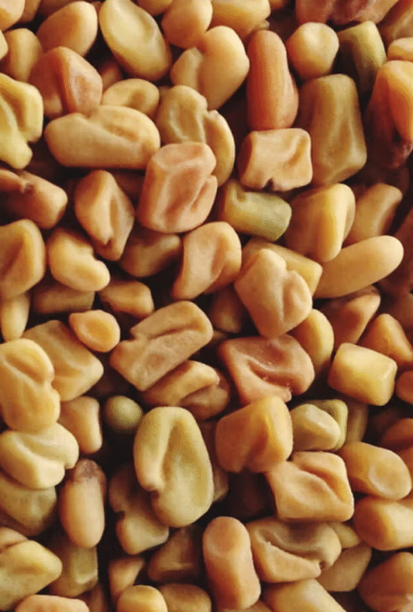 Fenugreek Seeds