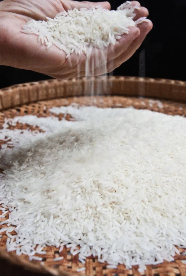 White Rice